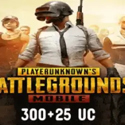 Pubg (300+25) Intensity