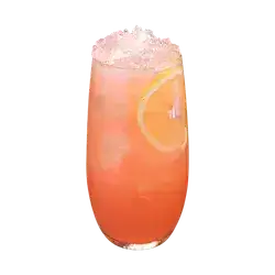 Watermelon Lemonade