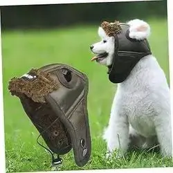 Winter Hat for Dog