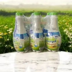 Pegah Doogh Beryani 6pcs 1000mll