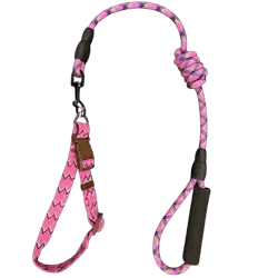 Dog Leash & Collar
