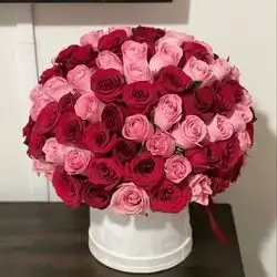 Box Flower