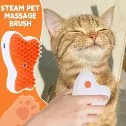 Cleaning and Massage