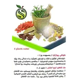 4 Plants Water