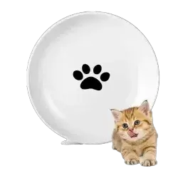 Pet Ceramic Bowl 3Pcs
