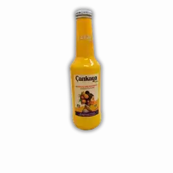 Cankaya Mango Pineapple Soft Drink 250ml