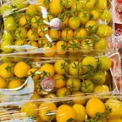 Yellow tomatoes box