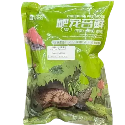Creeping Pet Moss