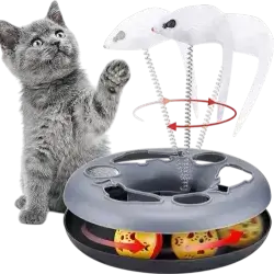 Cat Toy
