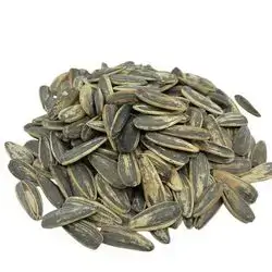 Premium Sunflower Seeds – 500g