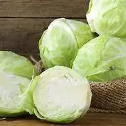 White Cabbage