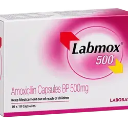 labmox - amoxicillin capsule 500mg