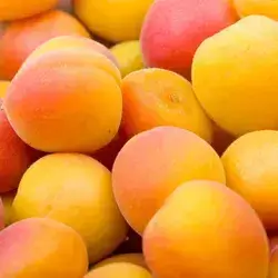 Irani Apricot