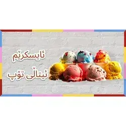 Italian Ice Cream Scoop 1 Kg