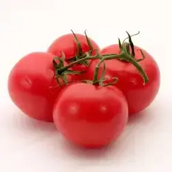 Hanging Tomatoes