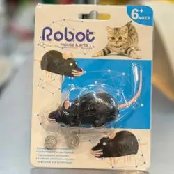 Robot Mouse