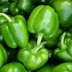 Green Pepper