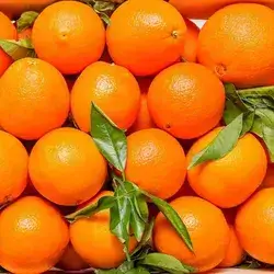 Turkish Orange