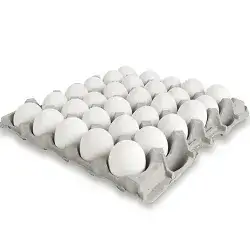 White Egg