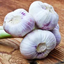 Garlic Pack
