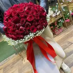Red Rose