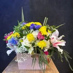 بۆکسی گوڵ تێکەل پراو پر لە جوانی 