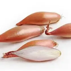 Dolma Onion