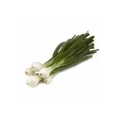 Fresh Spring Onion Kg