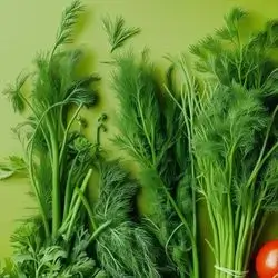 Dill