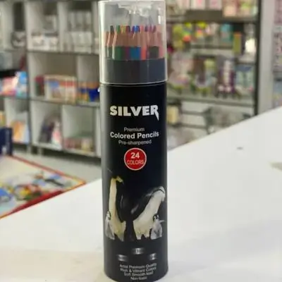 SILVER 24 COLOR PEN