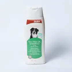 Bioline ( Tea Tree Oil Shampoo )