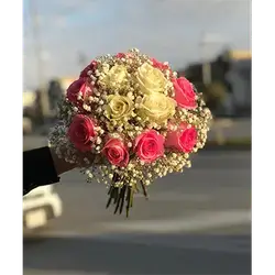 13 Rose