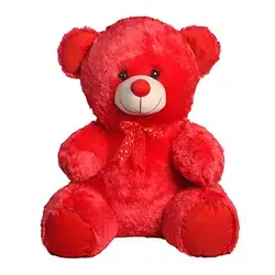 50cm Bear Gift