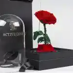 Active Love