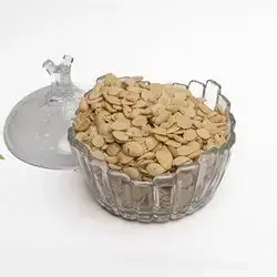 Apricot Seed