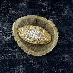Croissant Stuffed Lotus