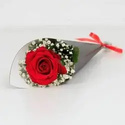 Single Rose