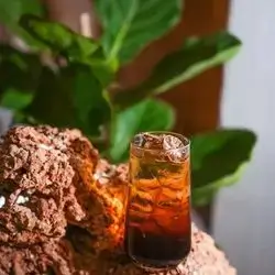 Sparkling Basra Lemon Mojito