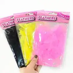 Feather
