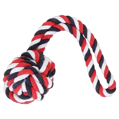 Dog Toy