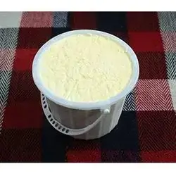 Sheep Yogurt - 2 Kg
