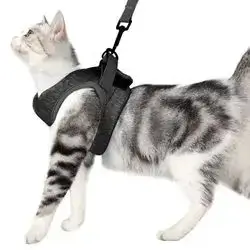 Soft Leash & Harness L