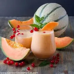 Fresh Melon Juice