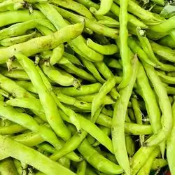 Broad beans