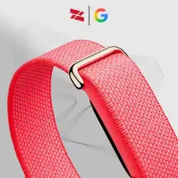 Google Fitbit Air - Berry