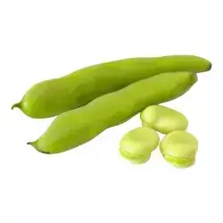Bean