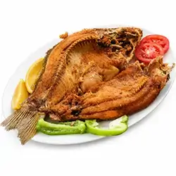 Katan Fish