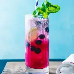 Blueberry Mojito