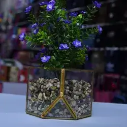 Plastic Plant