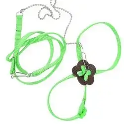 Bird Leash - L